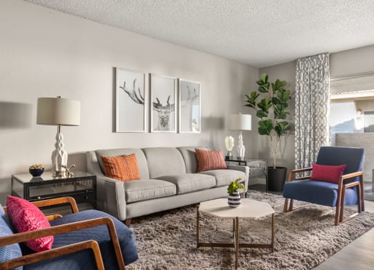 our apartments offer a living room with a sofa coffee table and chairs